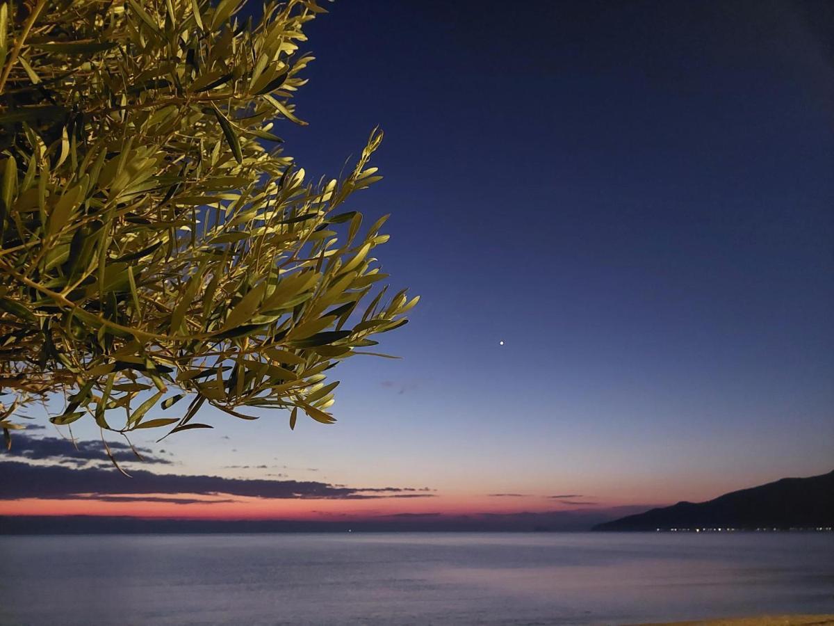 Villa Sevi Vrasná 外观 照片