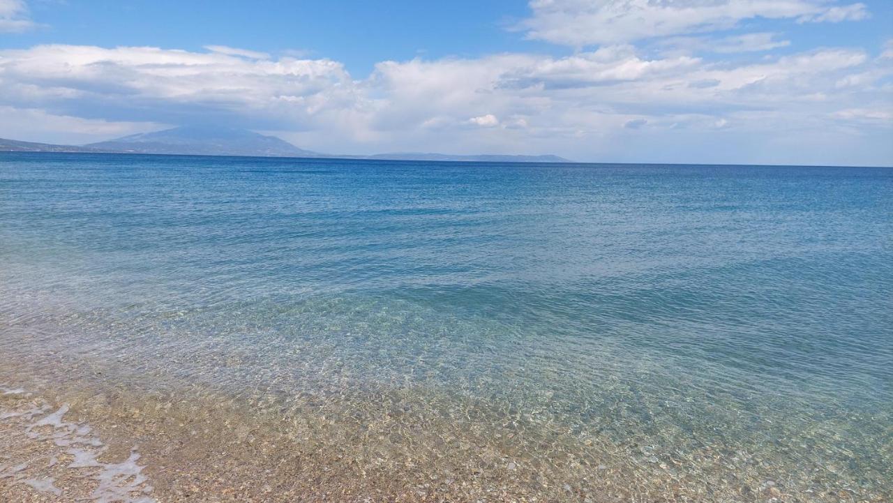 Villa Sevi Vrasná 外观 照片